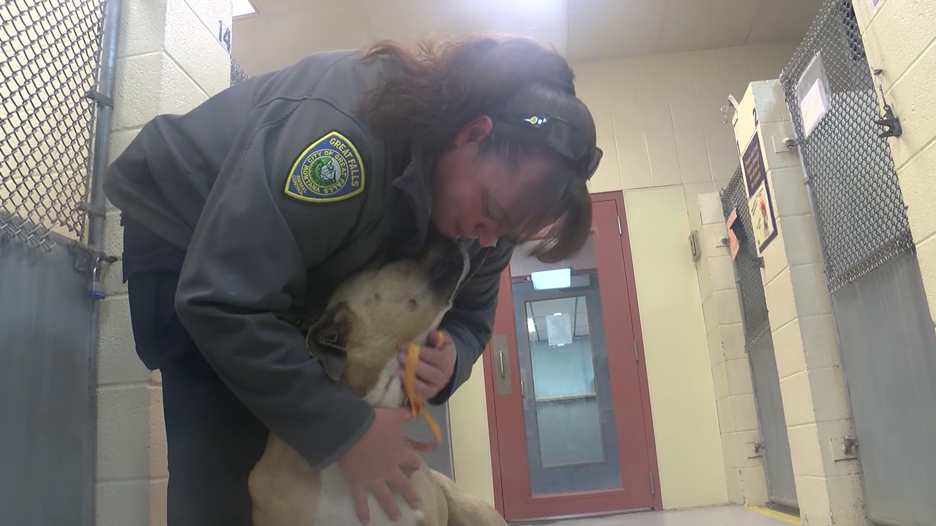 Celebrating Animal Control Officer Appreciation Week
