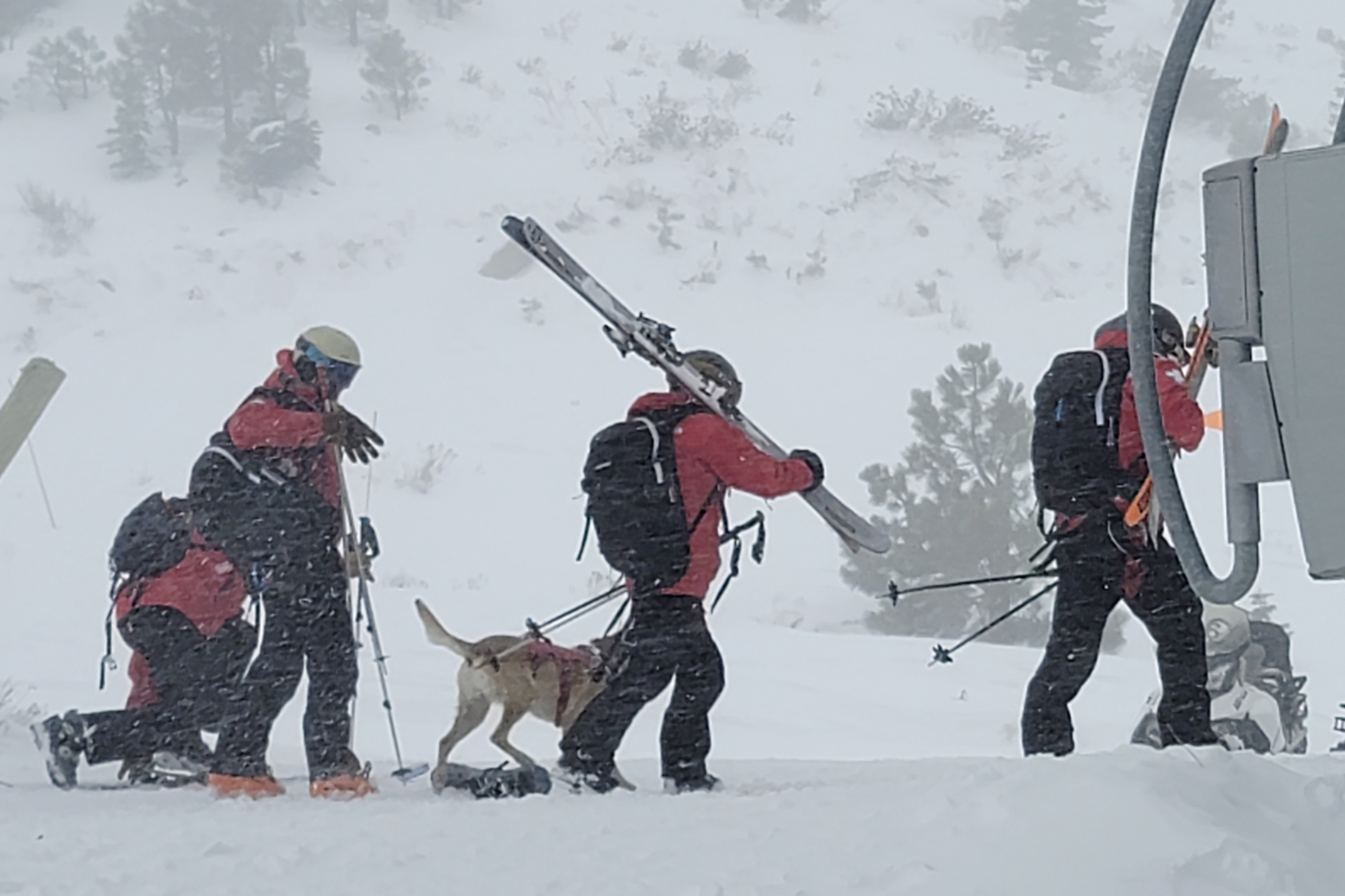 Avalanche Explainer