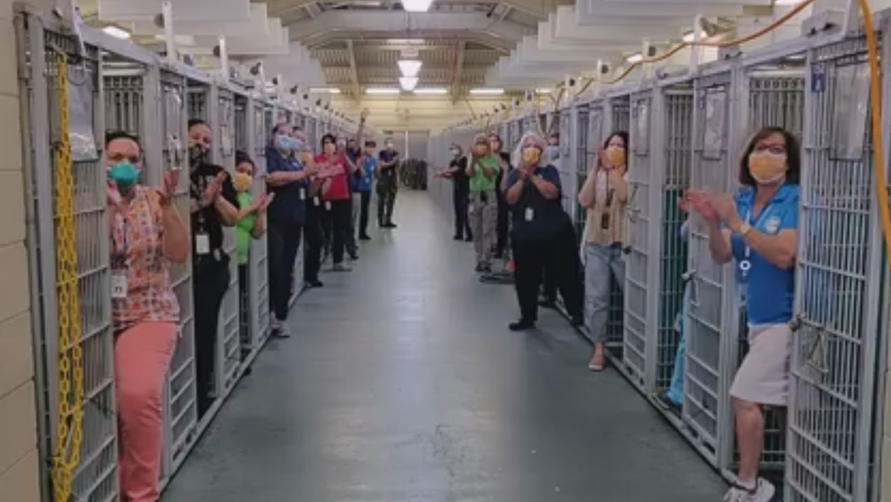 wptv kennel.JPG