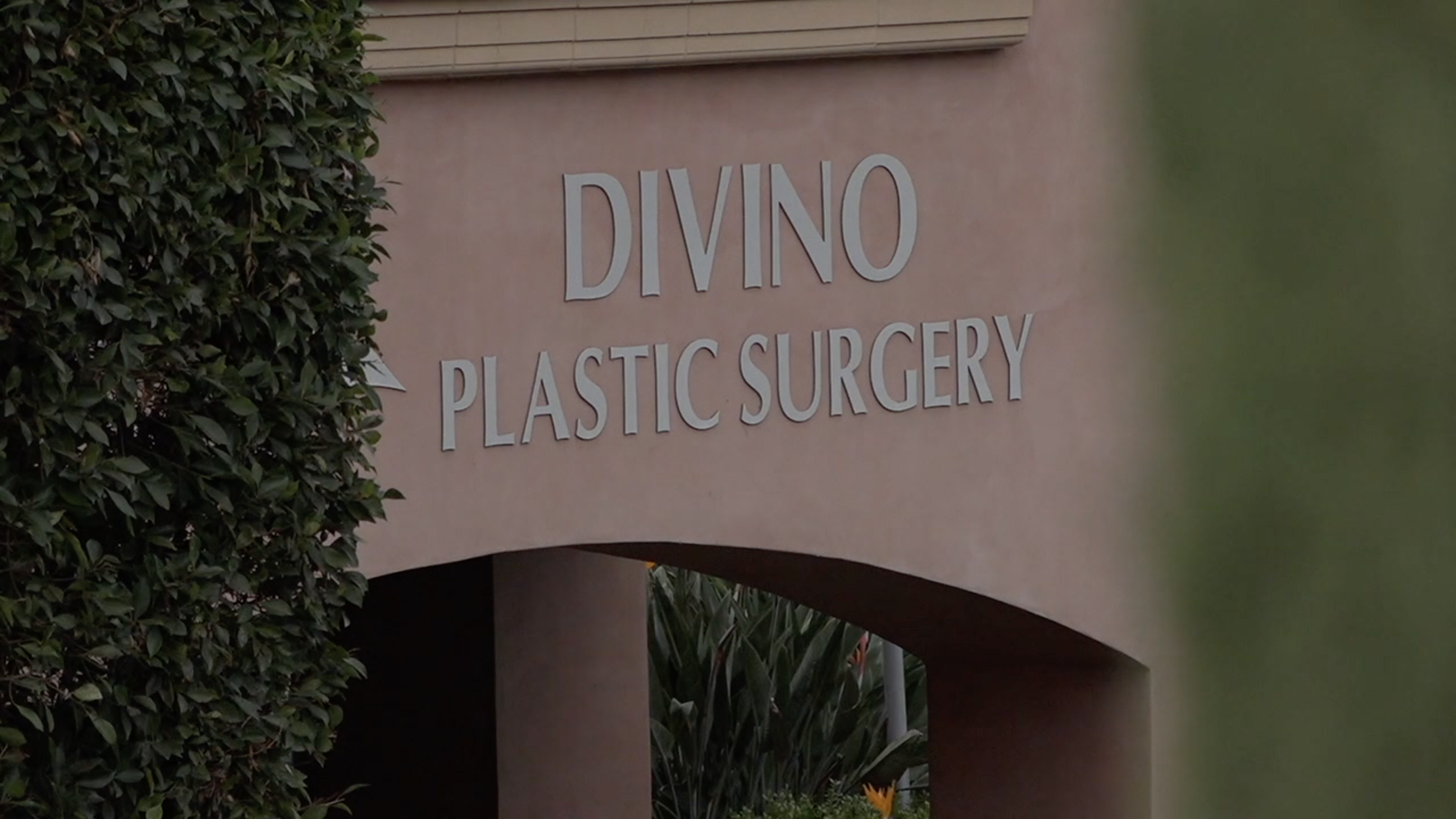 Divino Plastic Surgery
