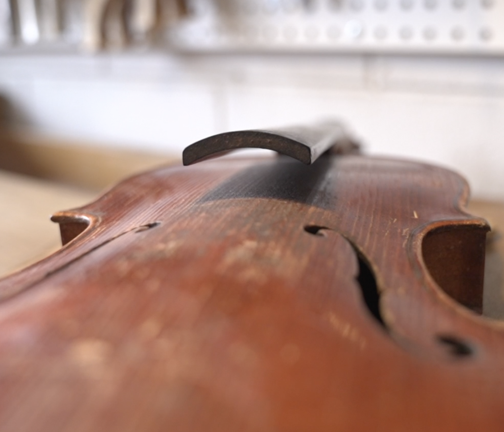 Violin