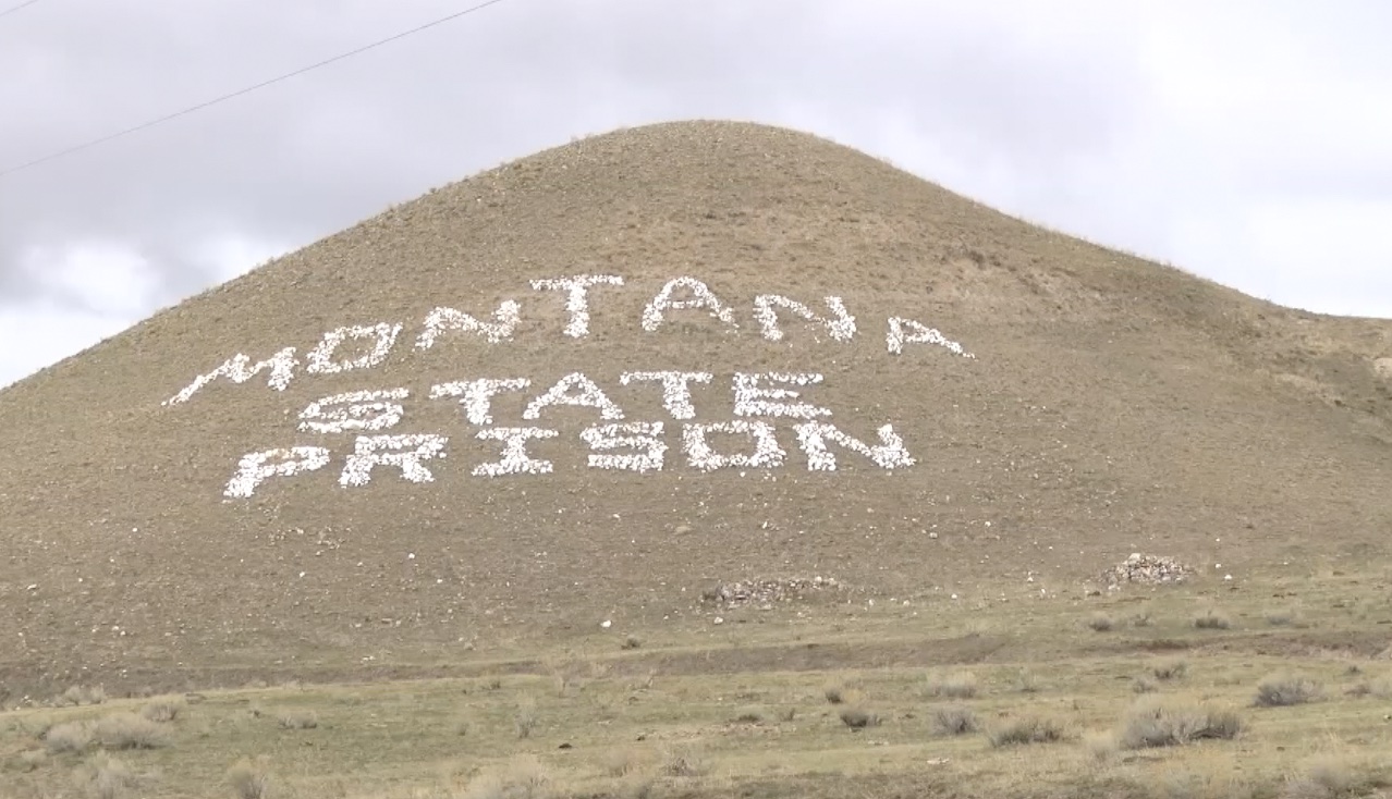 msp hill.jpg