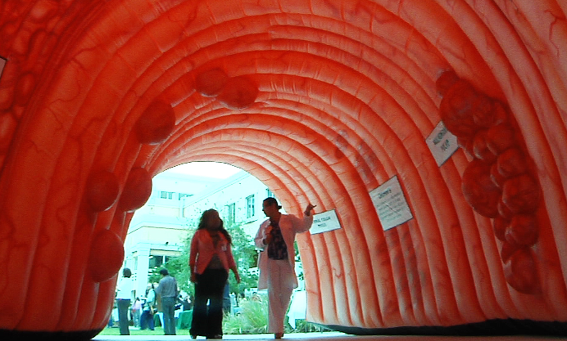 Giant inflatable colon set up to bring awareness to the colorectal cancer