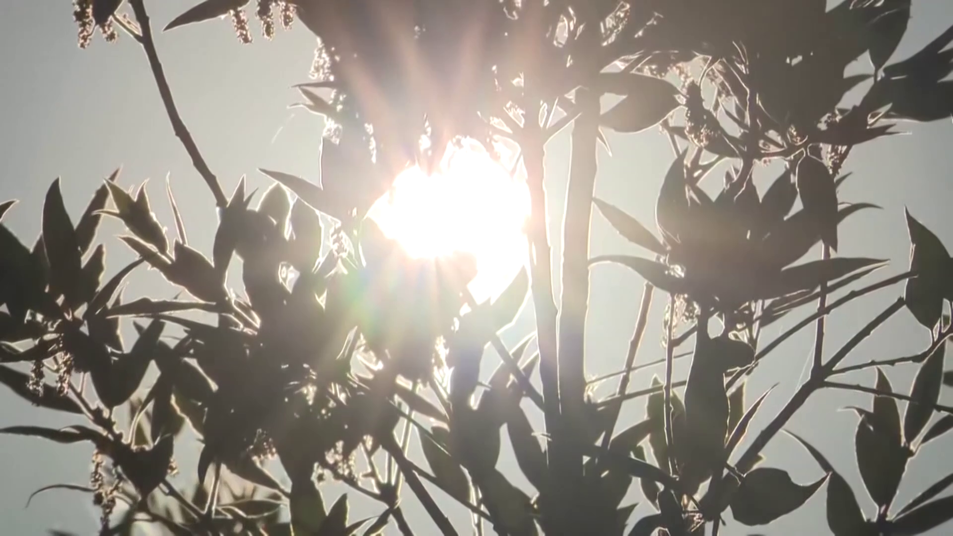 sun over Norfolk
