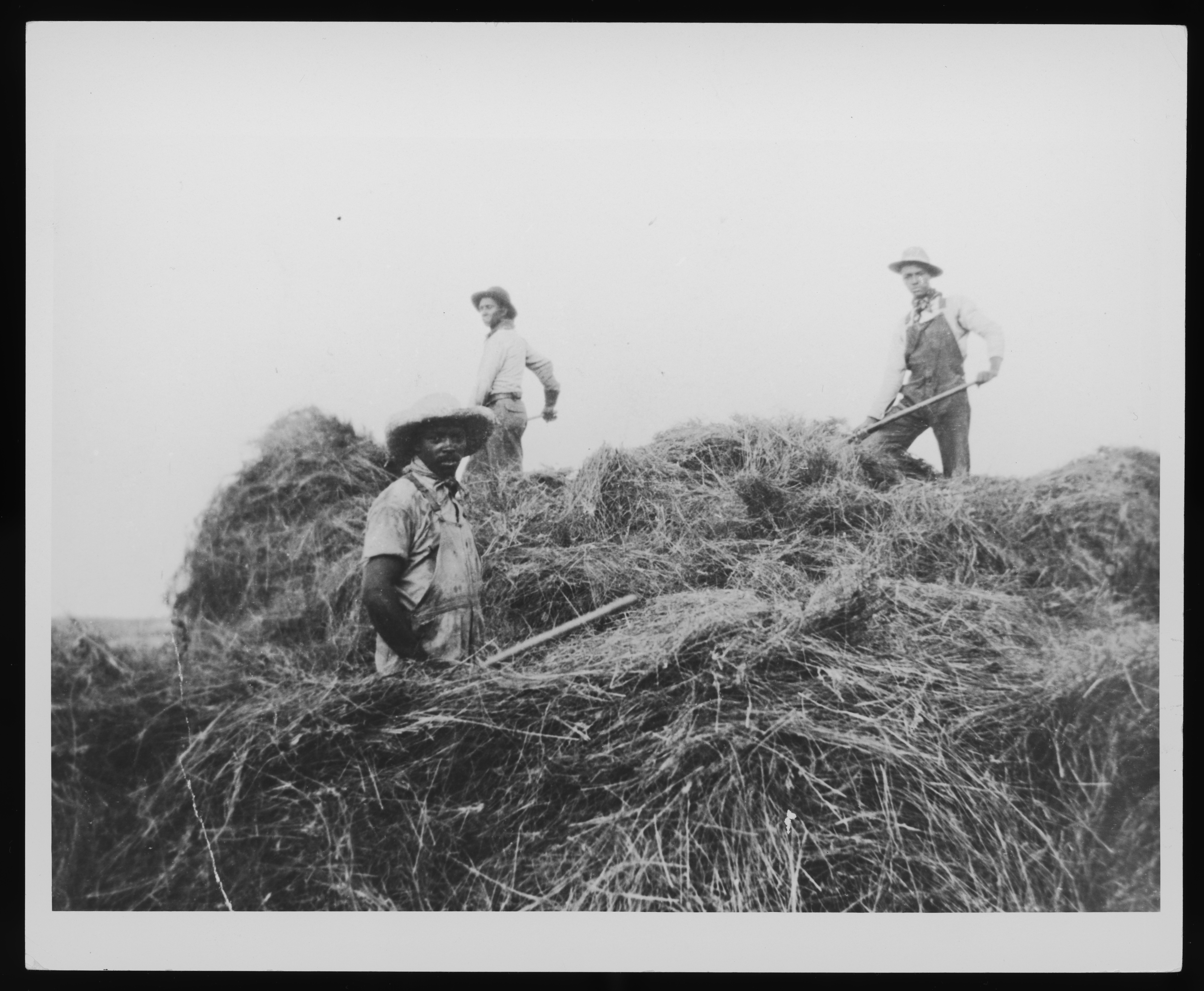homesteader photo 10.jpg