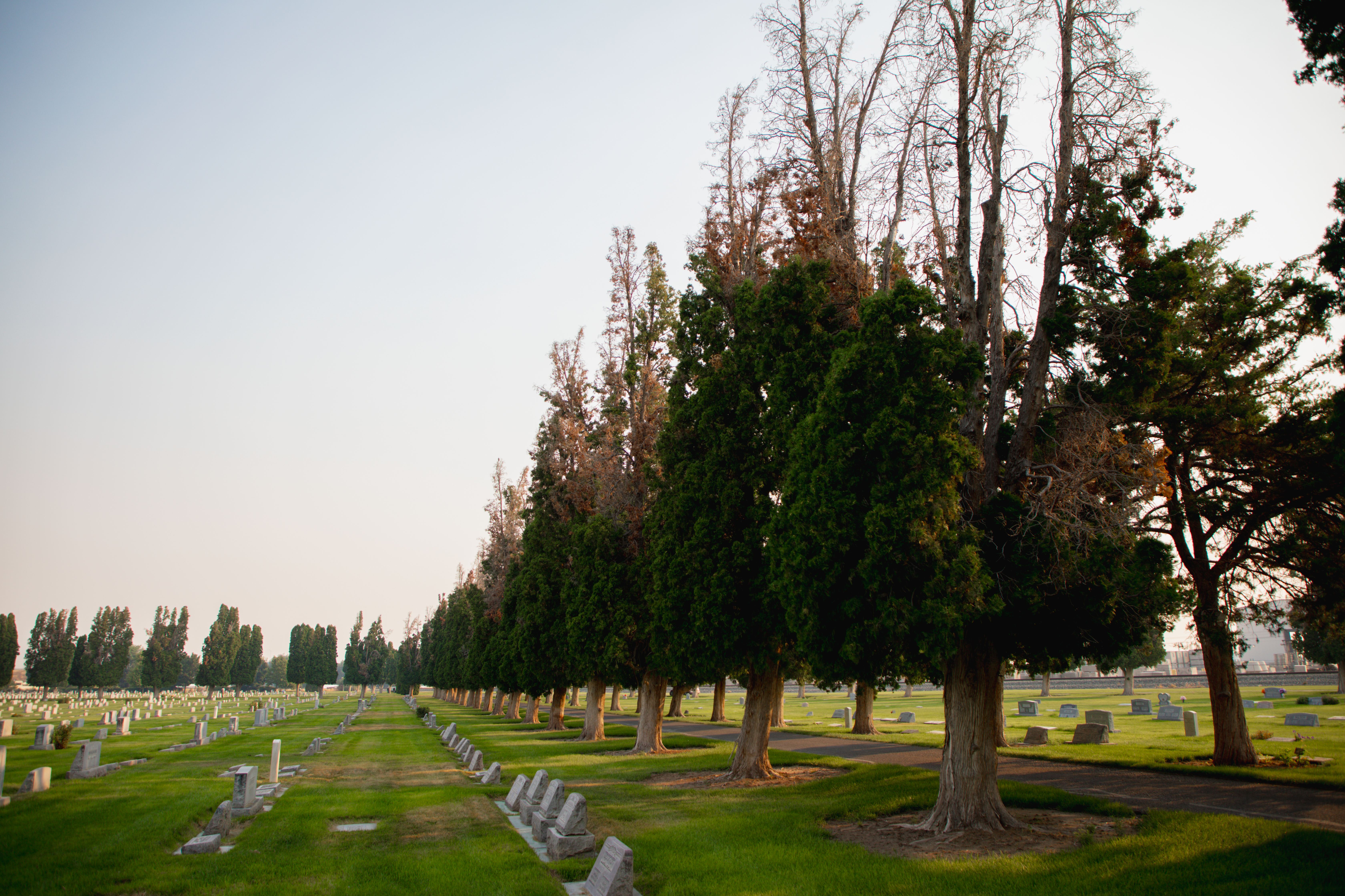 Kohlerlawn Cemetery