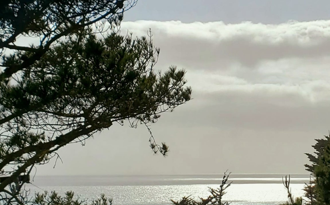 Clouds are persistent for the Central Coast