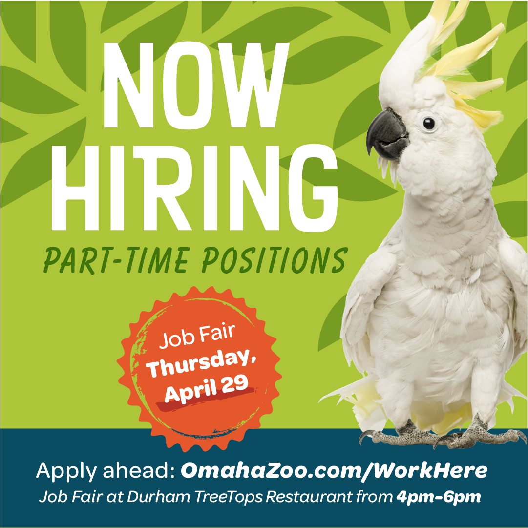 HENRY DOORLY ZOO AND AQUARIUM JOB FAIR