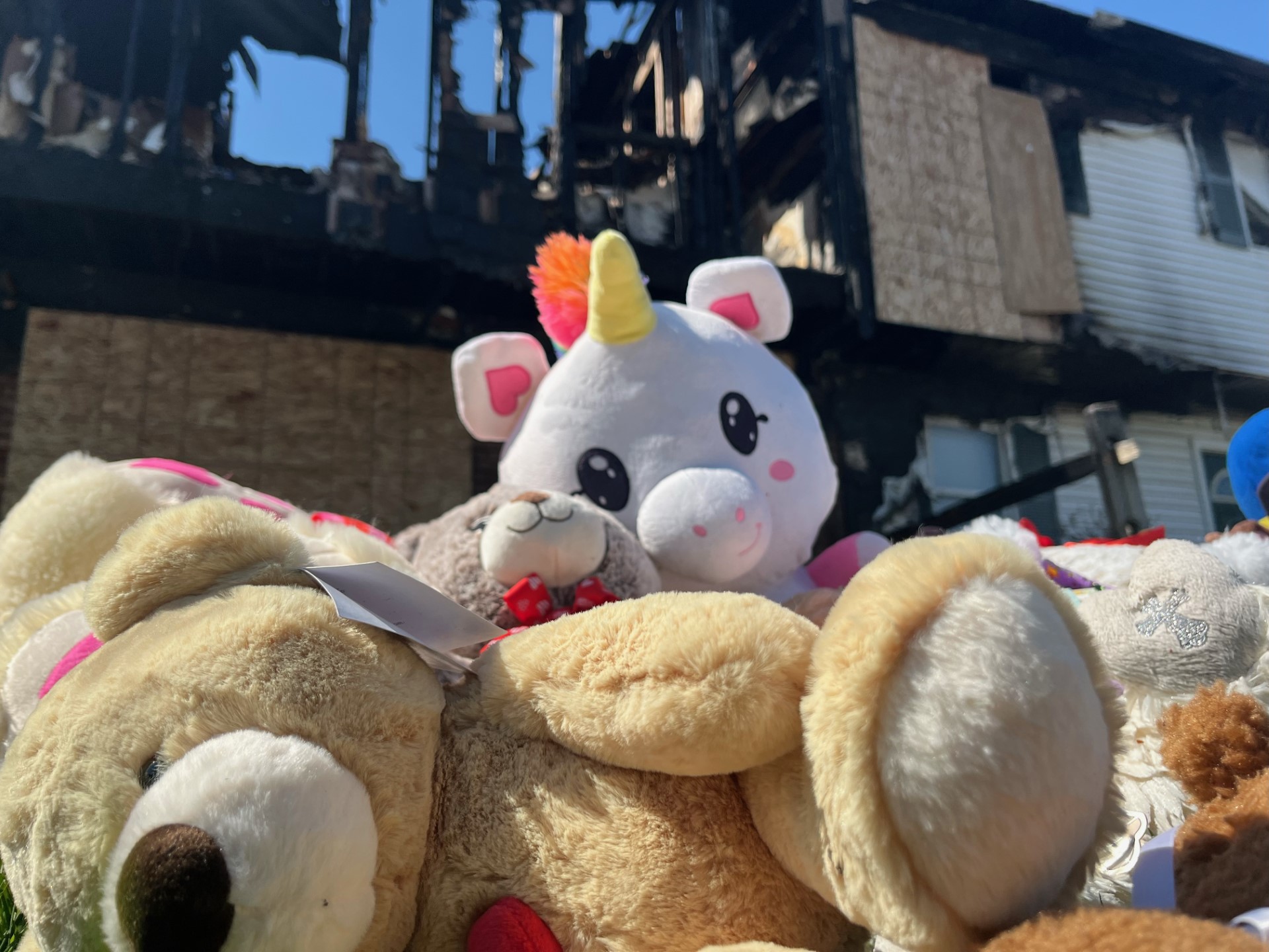 stuffed animal memorial.jpg