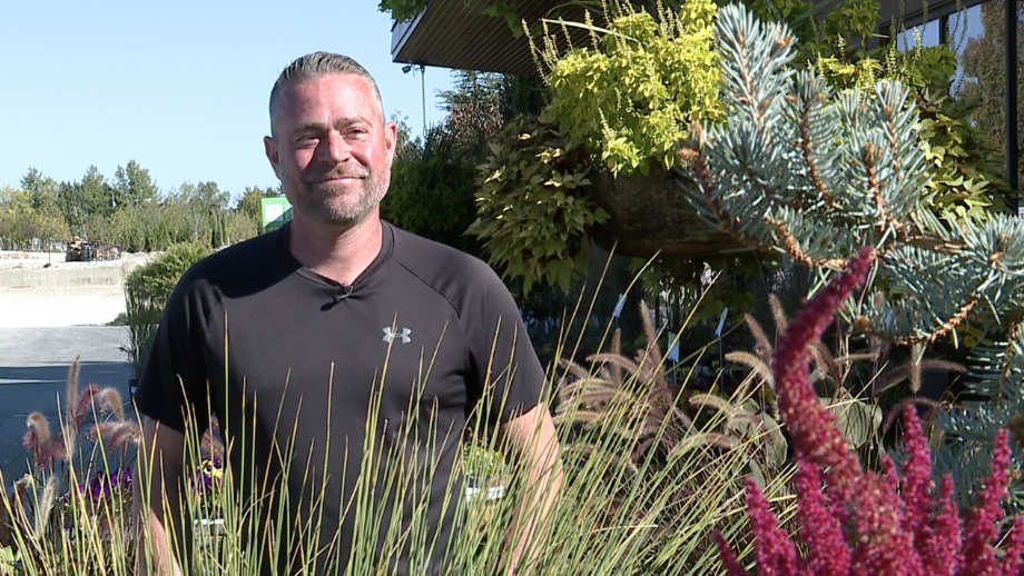 Plants and Cooler Weather