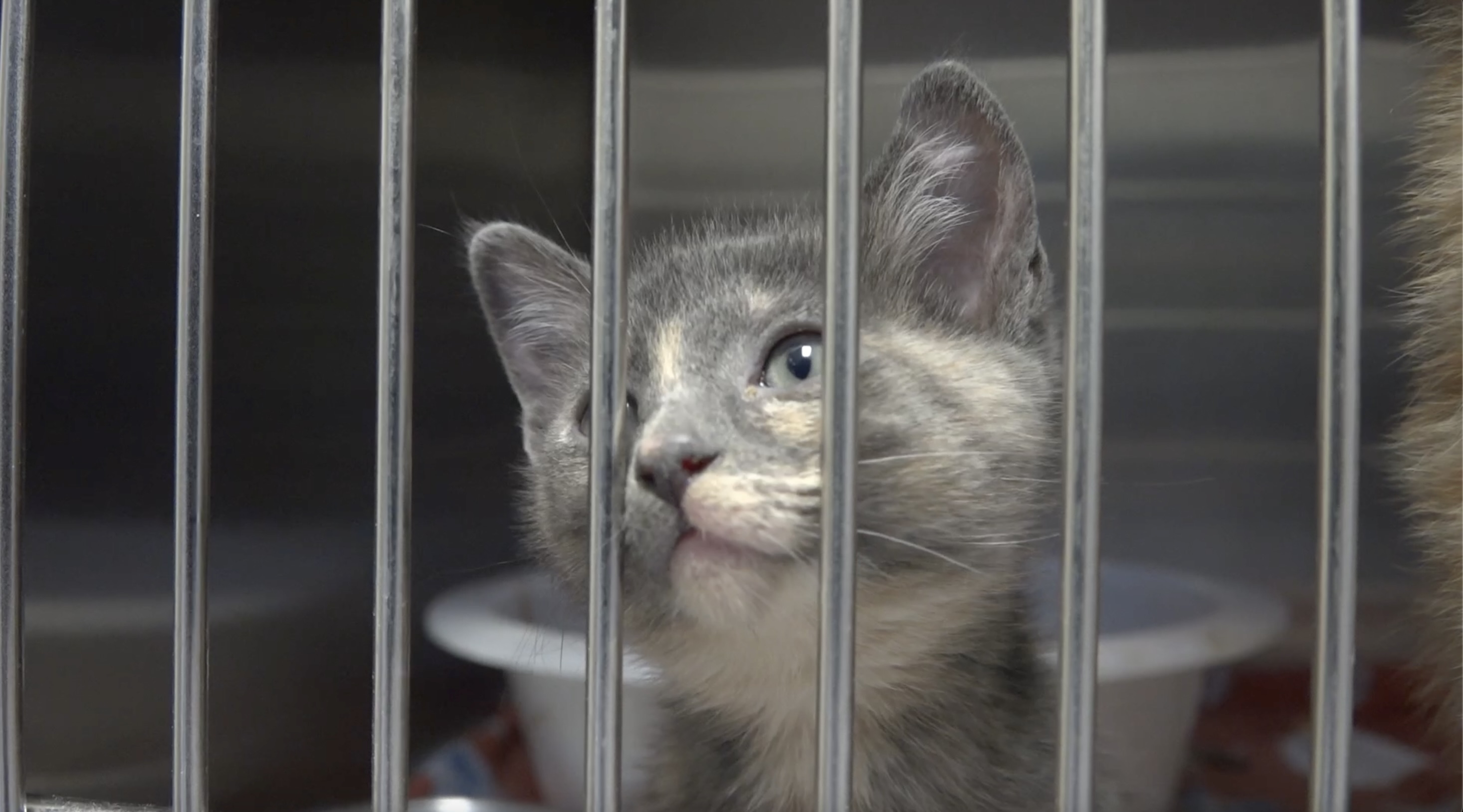 Screenshot 2025-12-03 at 5.01.20 PM.jpeg