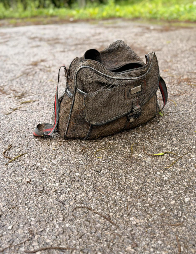 Anderson County Animal Control is looking for the owner of a satchel bag found at the Tyrone Boat Dock containing two dead cats.