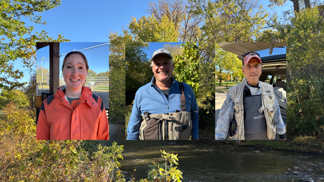 DNR work draws anglers to the Root River
