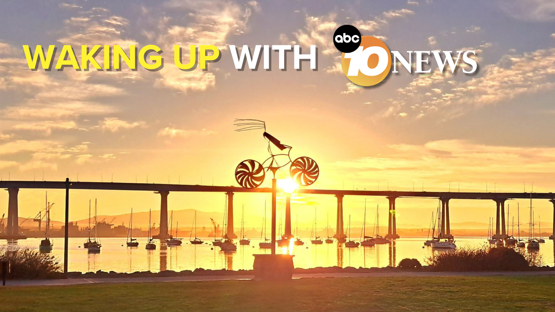 newsletter_barry_alman_tidelands_park_coronado.png