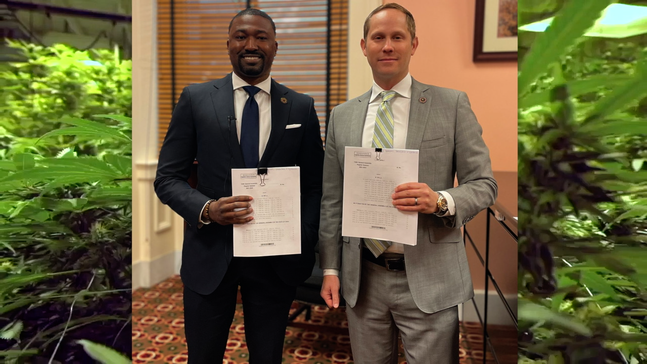2 Ohio Dems file 'joint' bill to legalize recreational weed on 4/20 - Vimarsana News