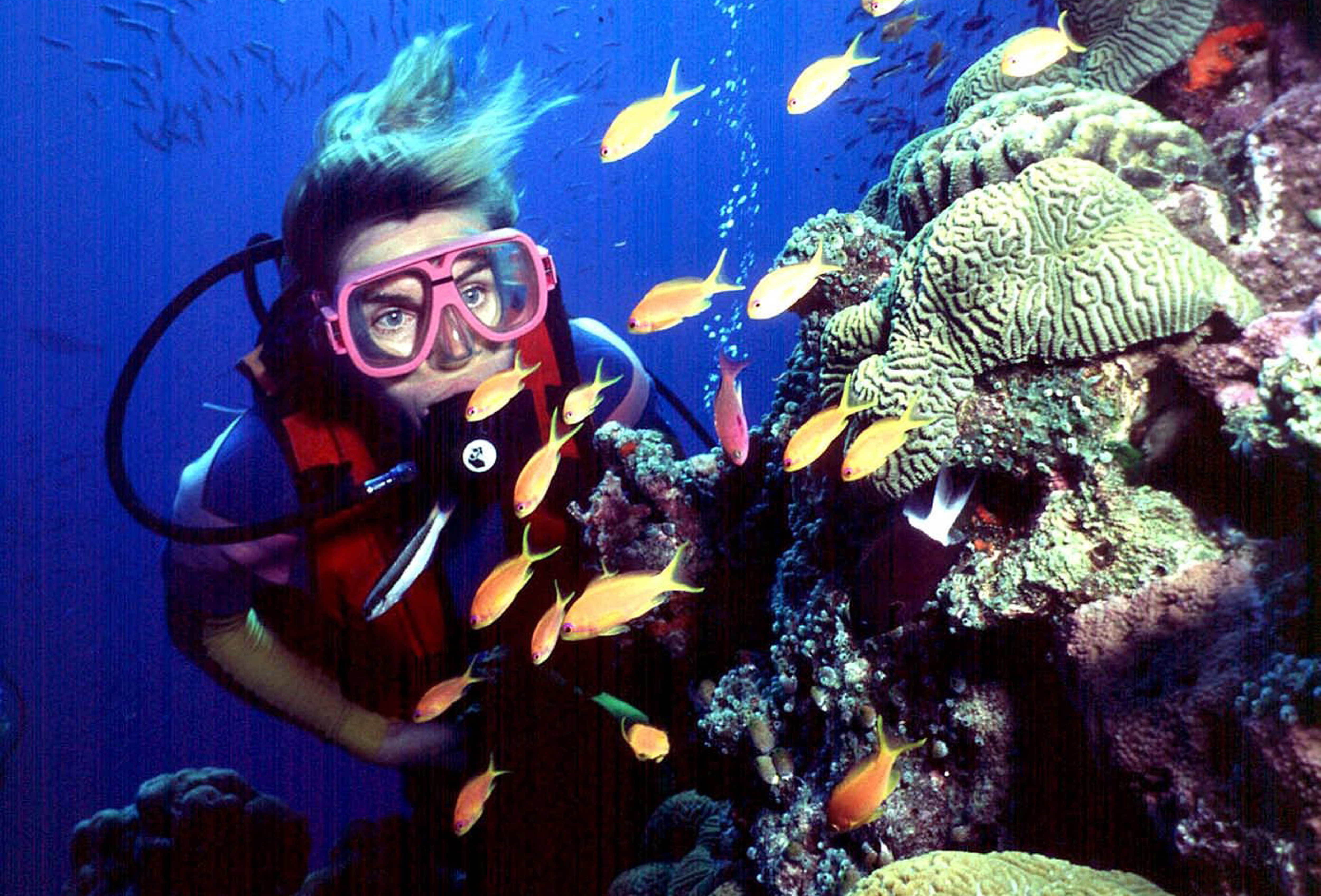 Australia Bleached  Reef