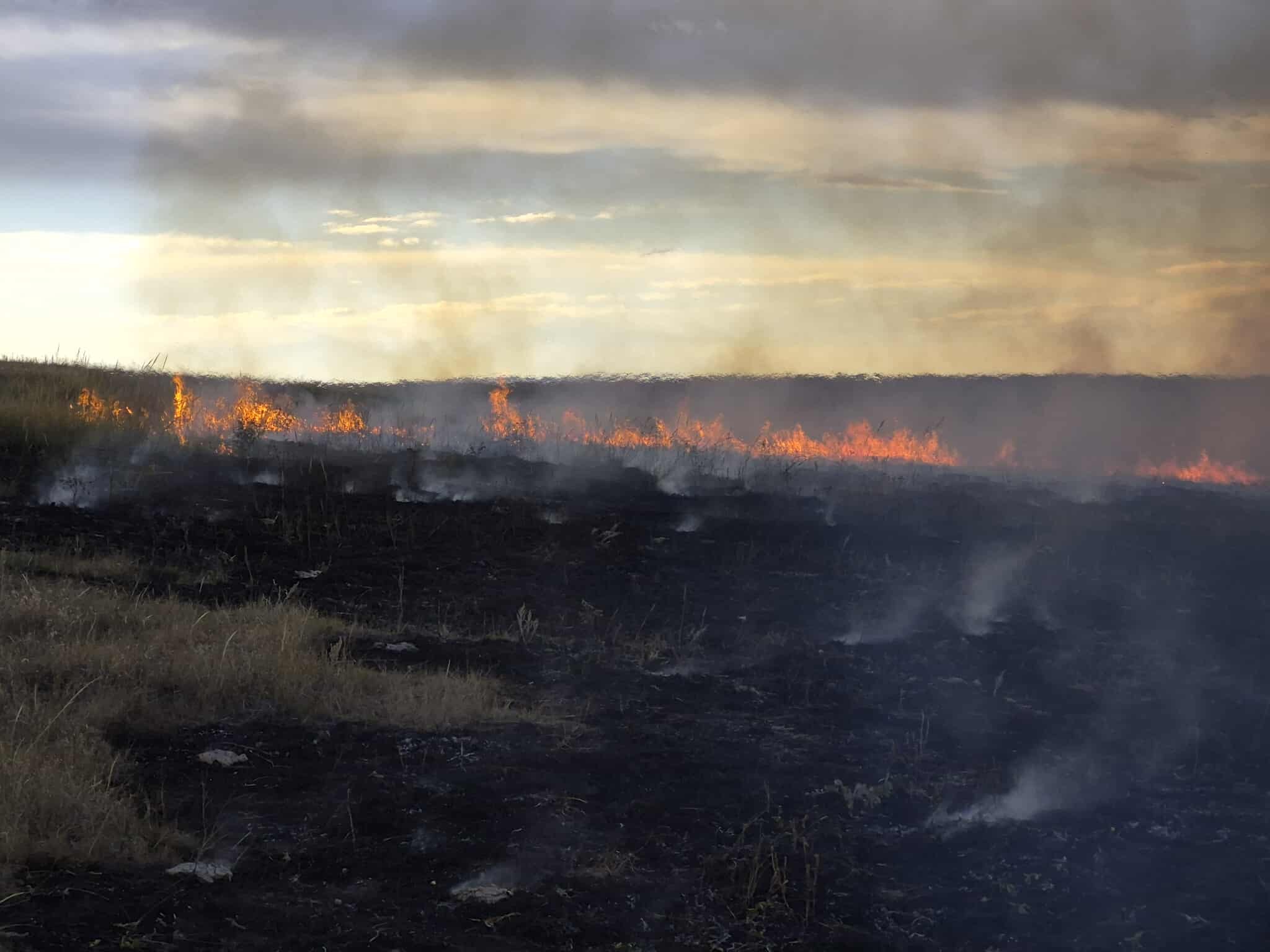 Ulm Brush Fire 9-12-25