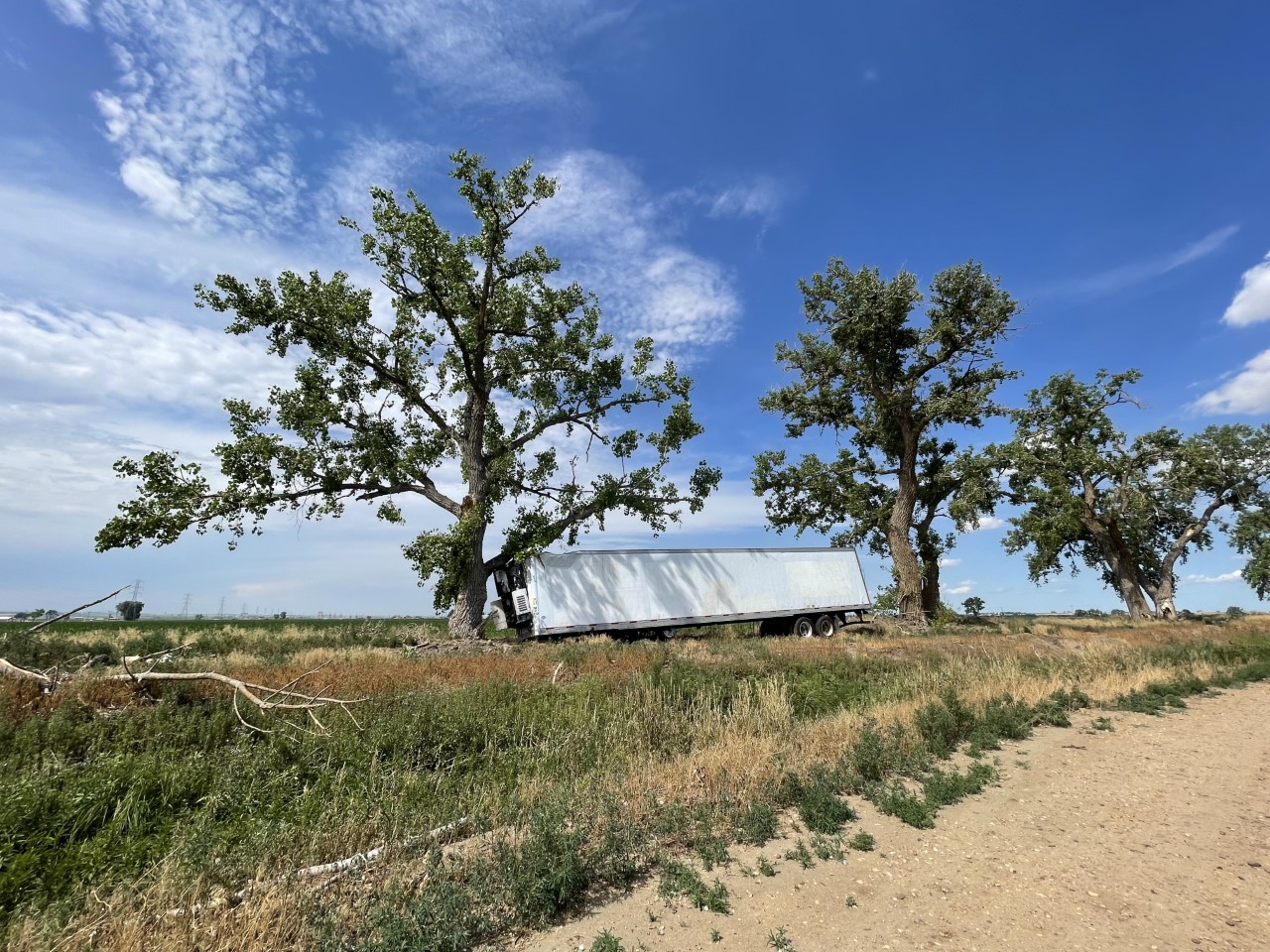 web family farm.jpg