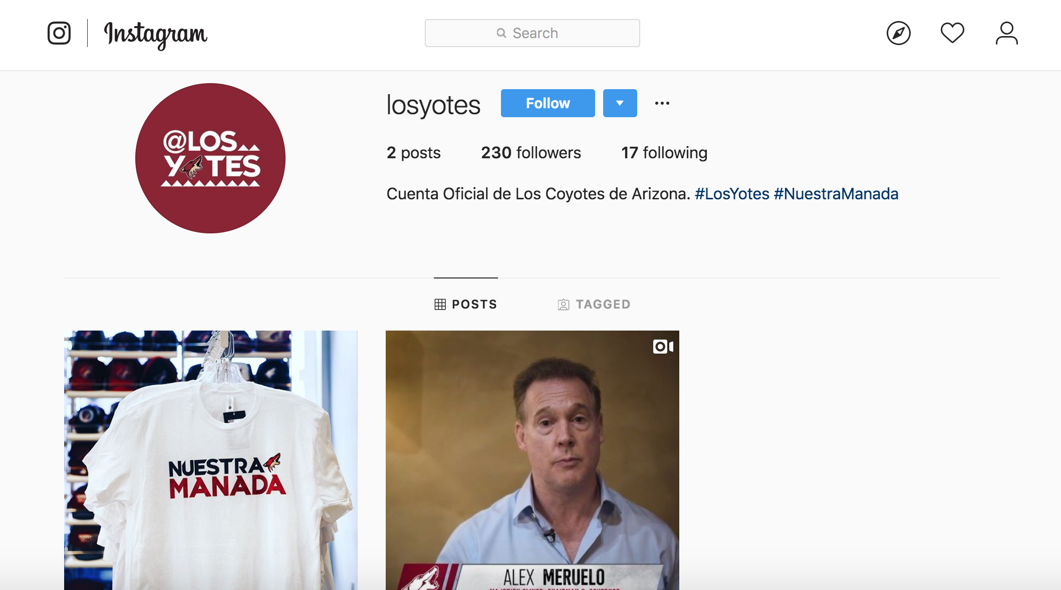 CoyotesWebsite.jpg
