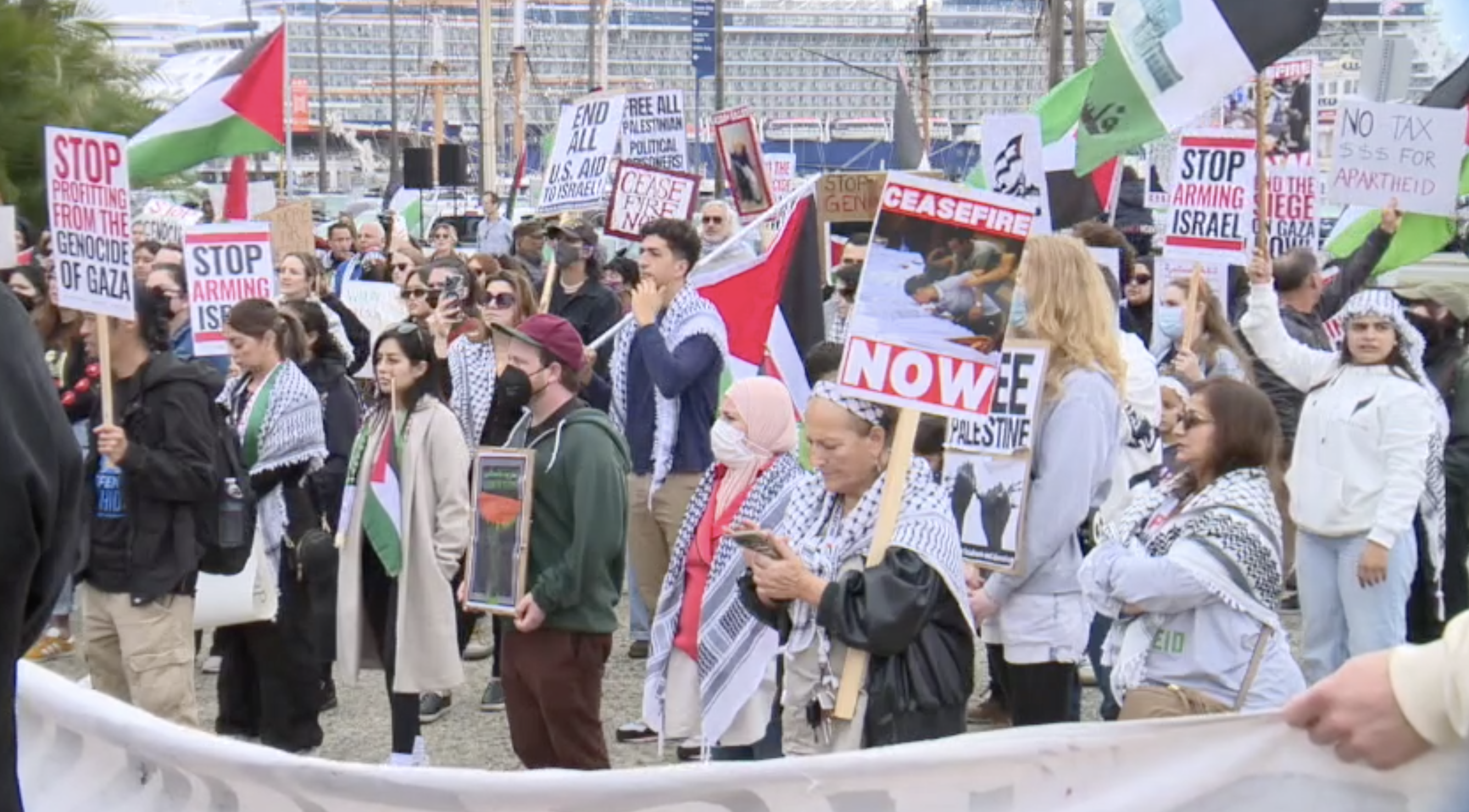 Local Palestinians rally in downtown San Diego
