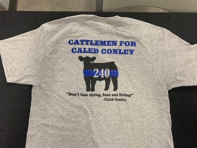Cattle Fundraiser 