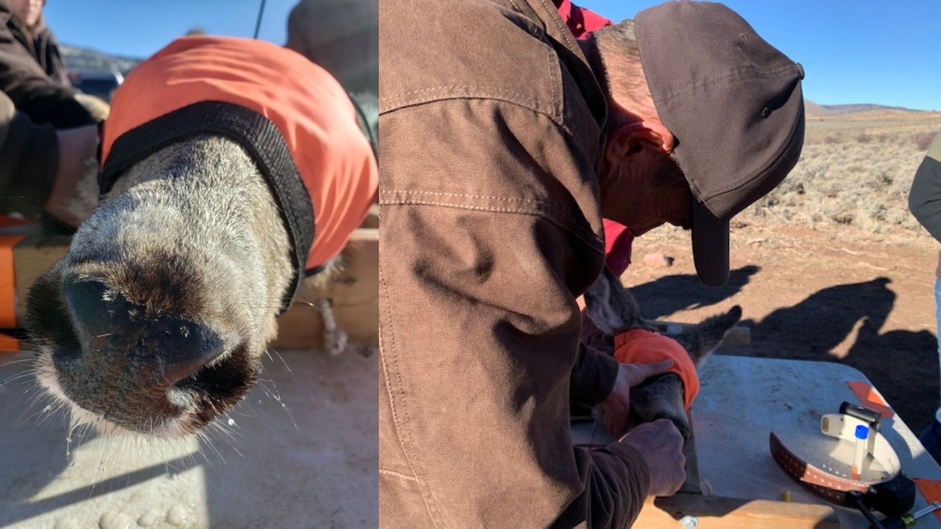 Image - 2022-03-28T151823.457.jpg