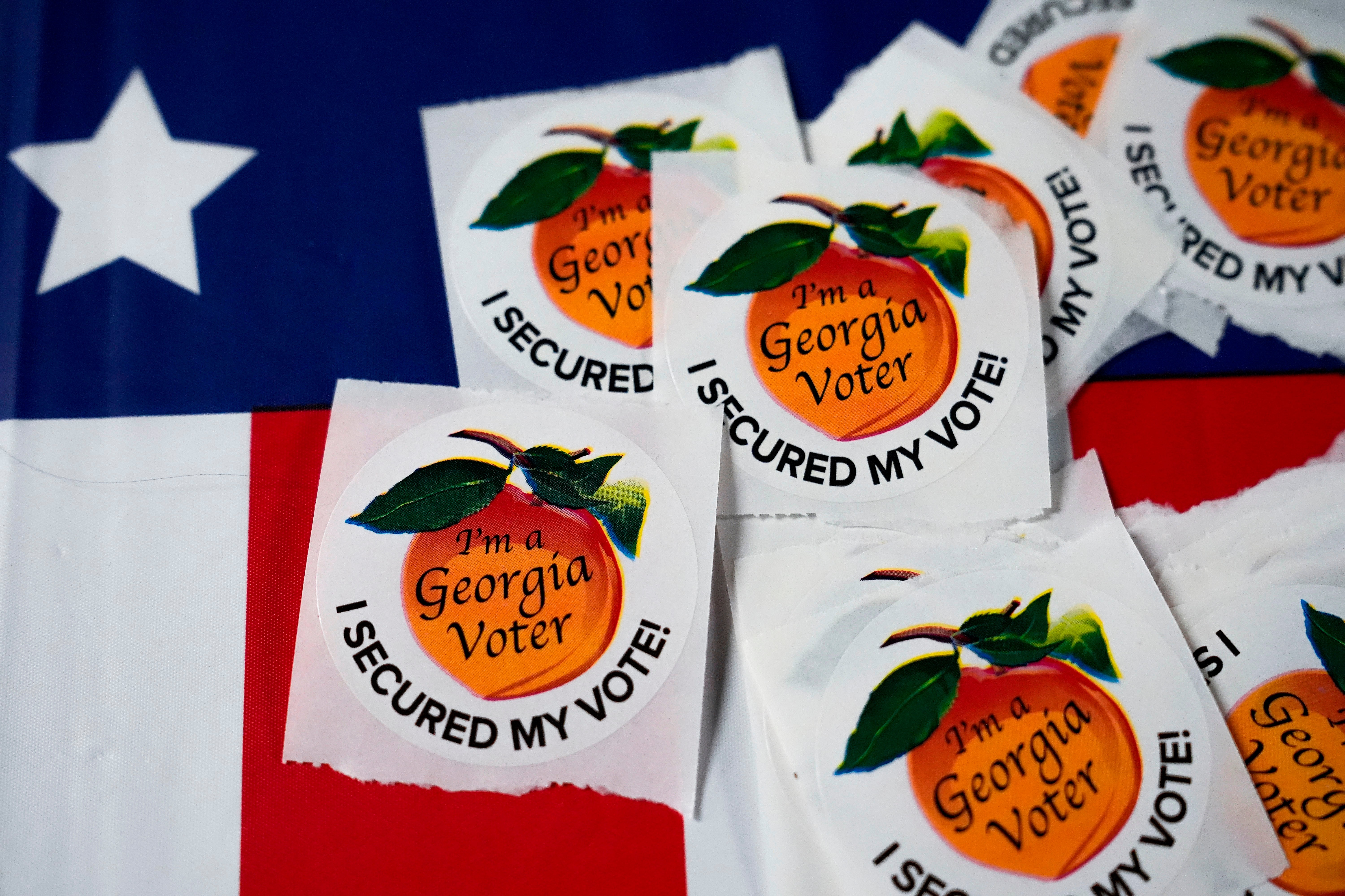 Georgia Elections Investigation