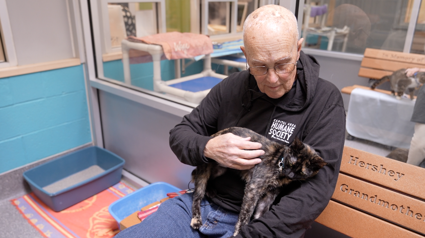 David Service: Cat Whisperer