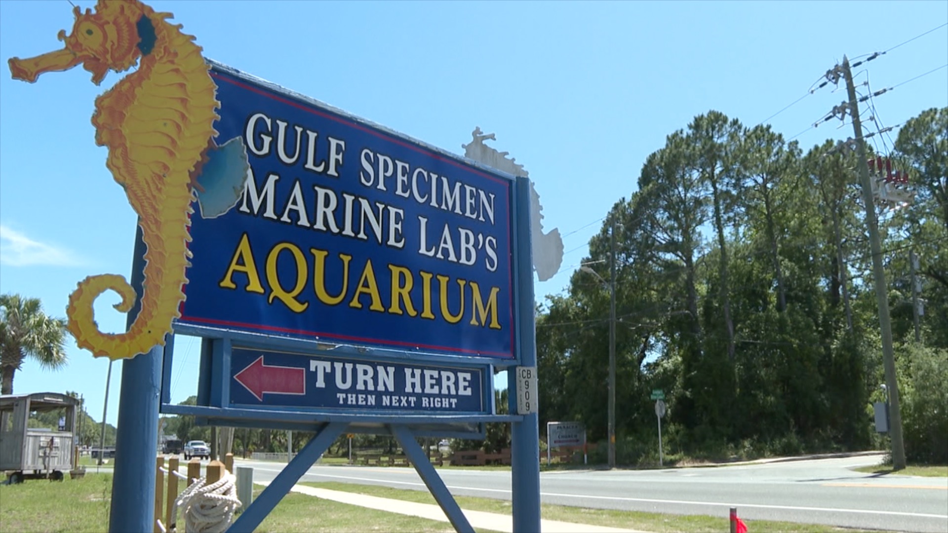 Gulf Specimen Marine Lab wayfinding sign