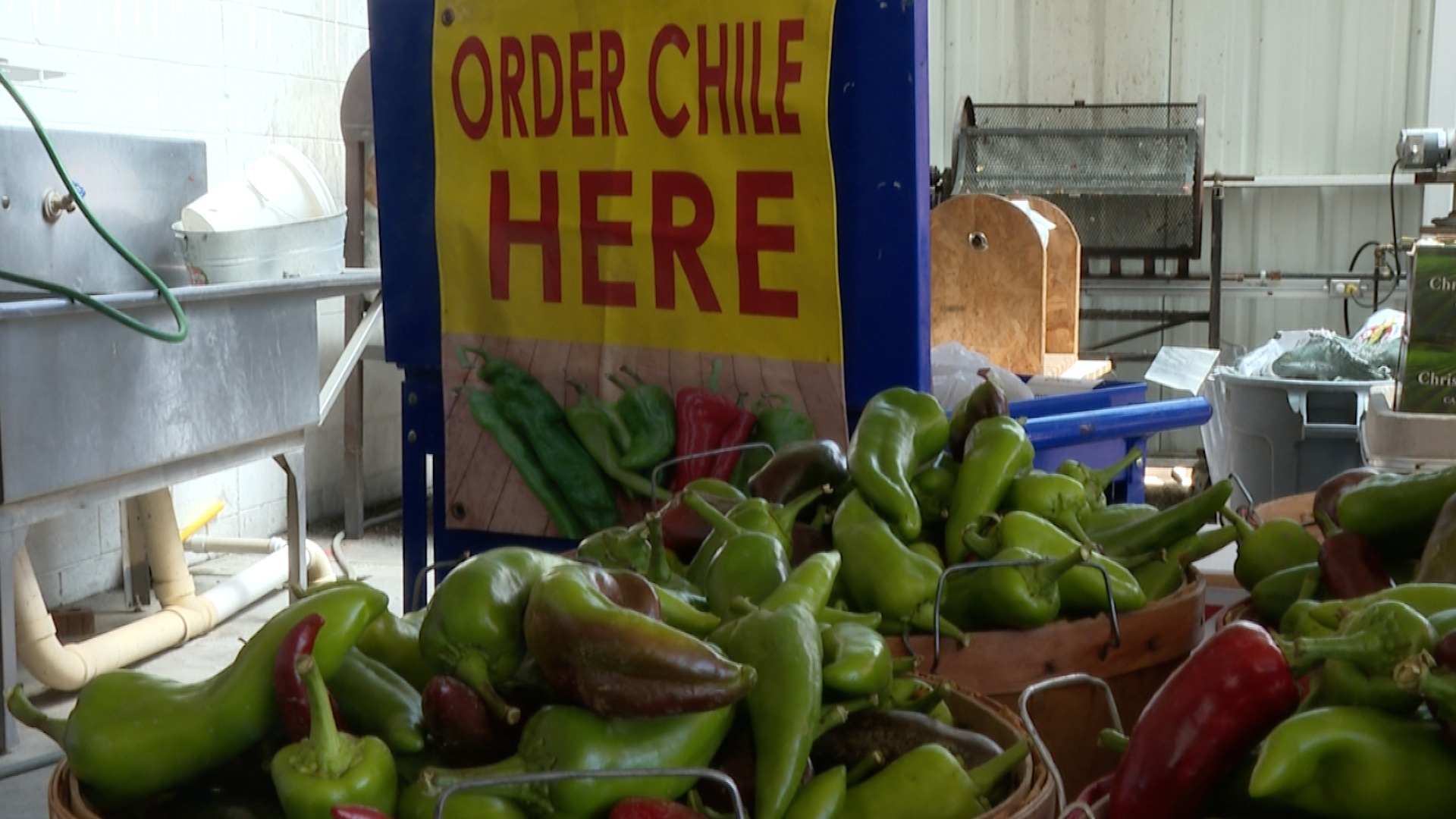 Chile peppers 