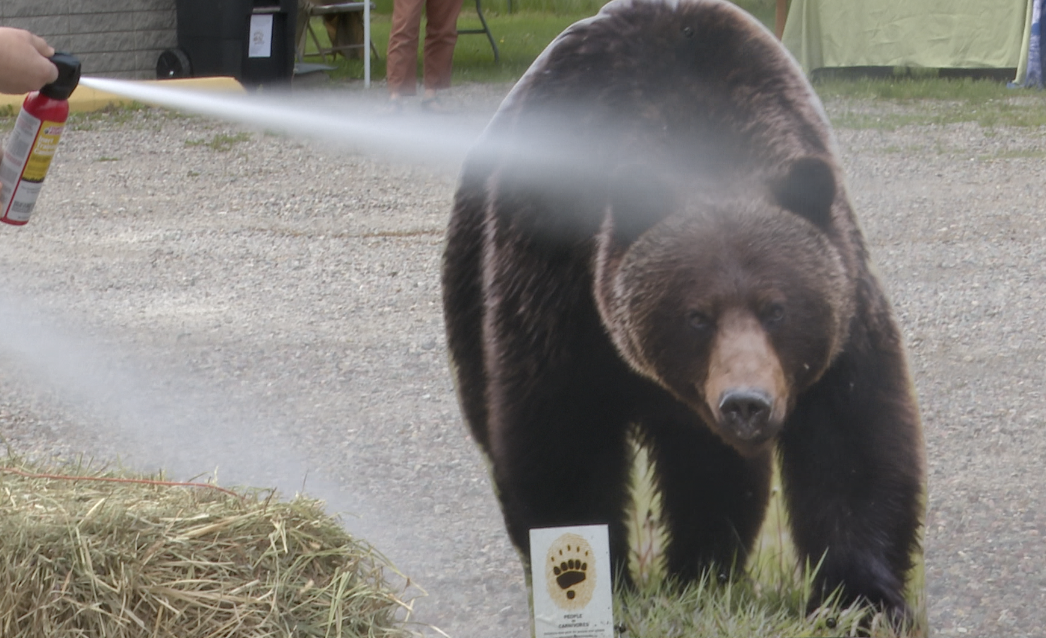 Bigfork Bear Awareness Event