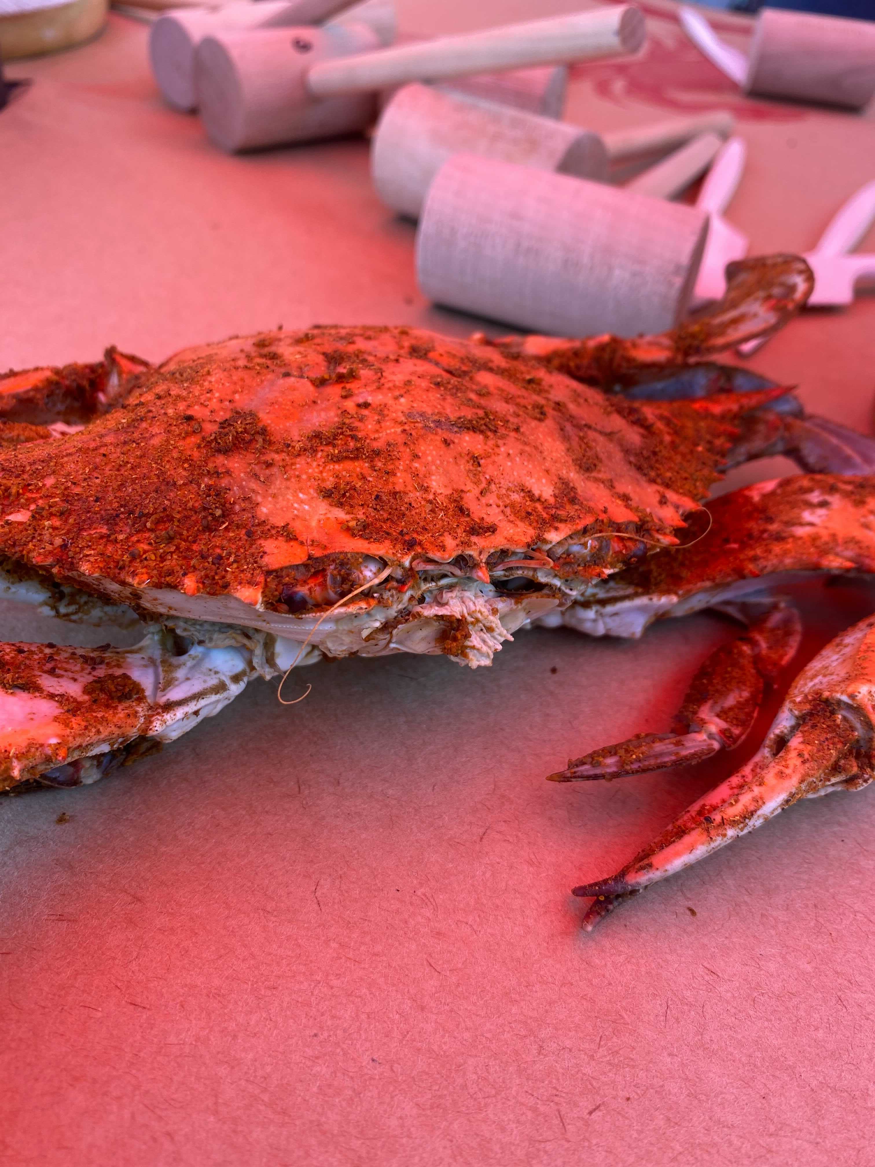 Maryland Crab
