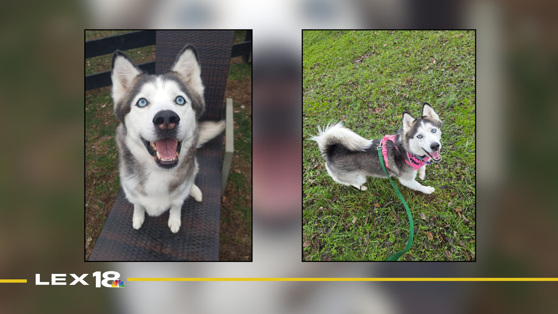 Featured Image Custom Edit (38).png