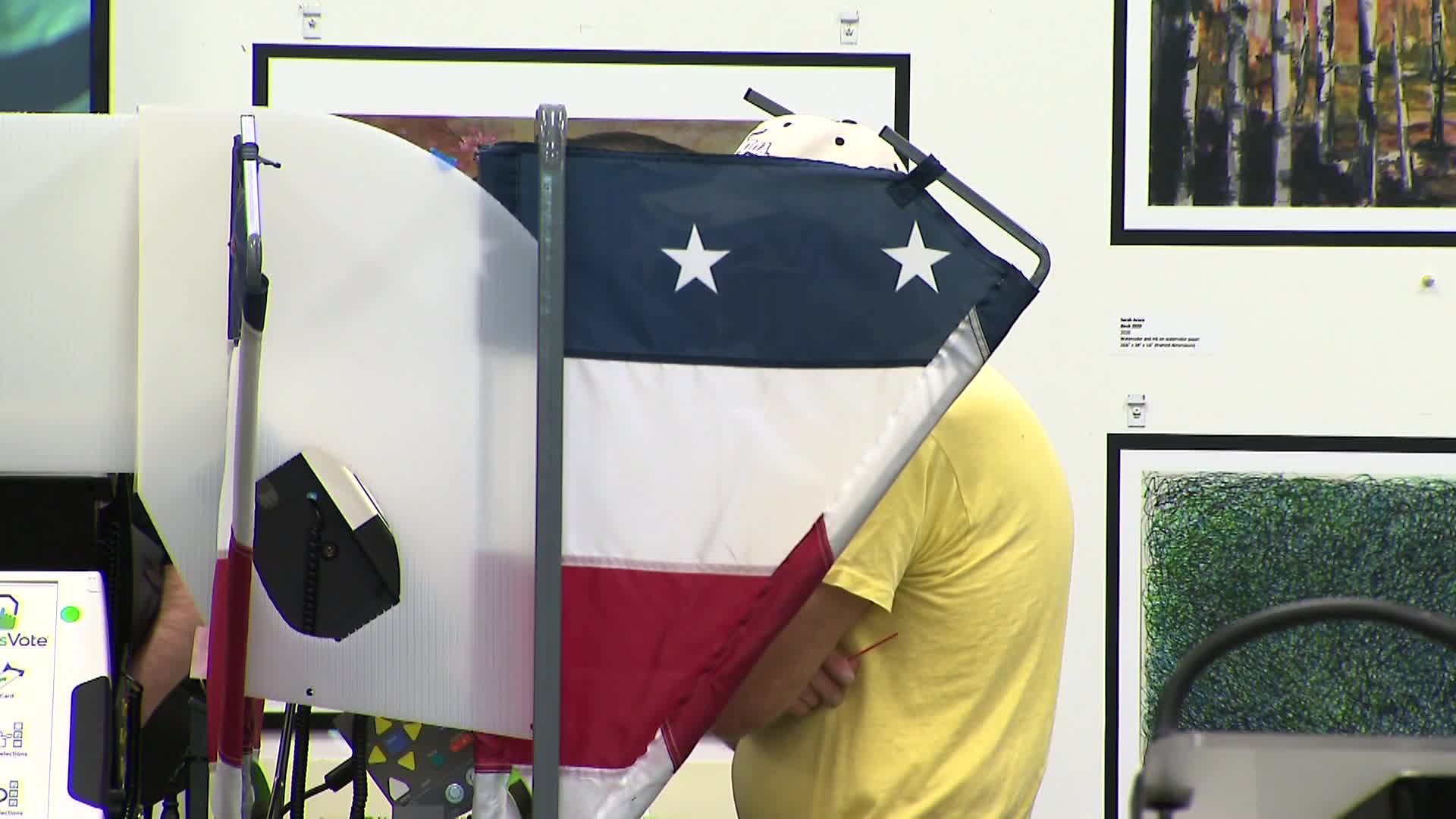 voting