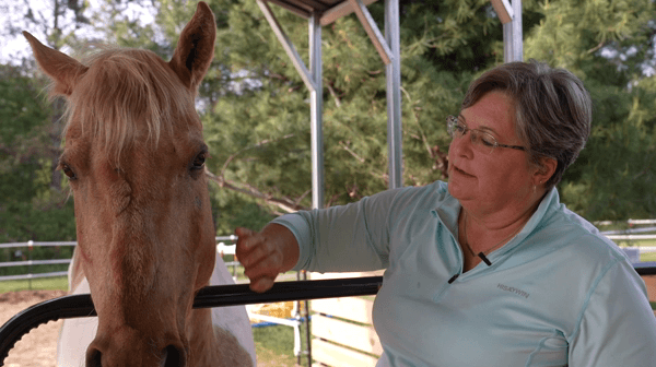 Pamela Allen Equine Assisted Coaching