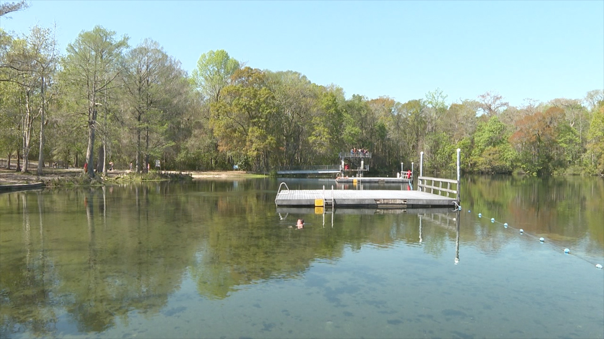 Visitors swiming at Wakulla Springs