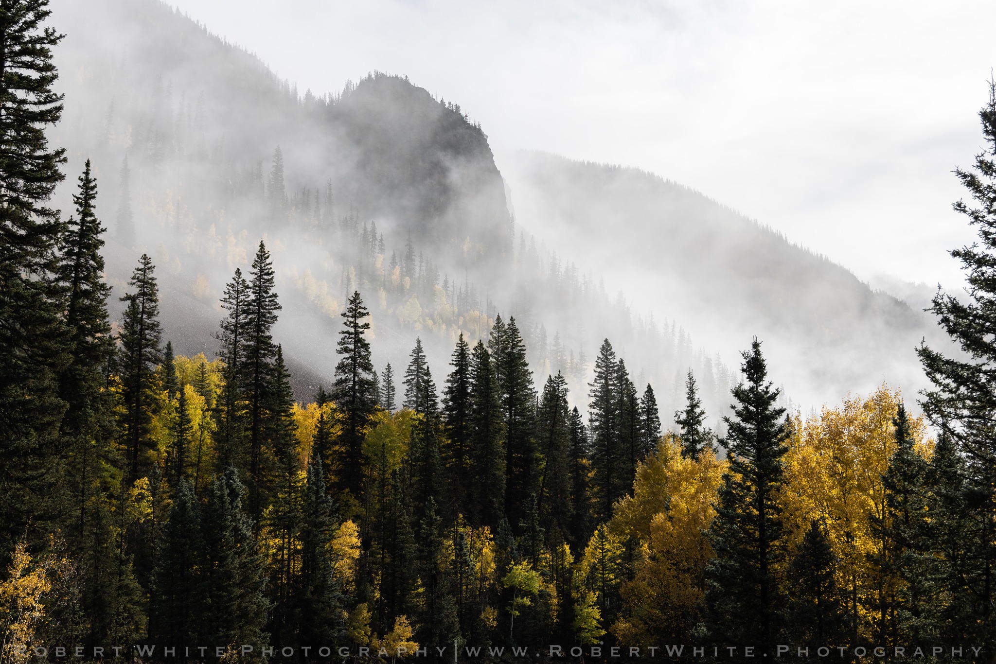 Robert White Photography.jpeg