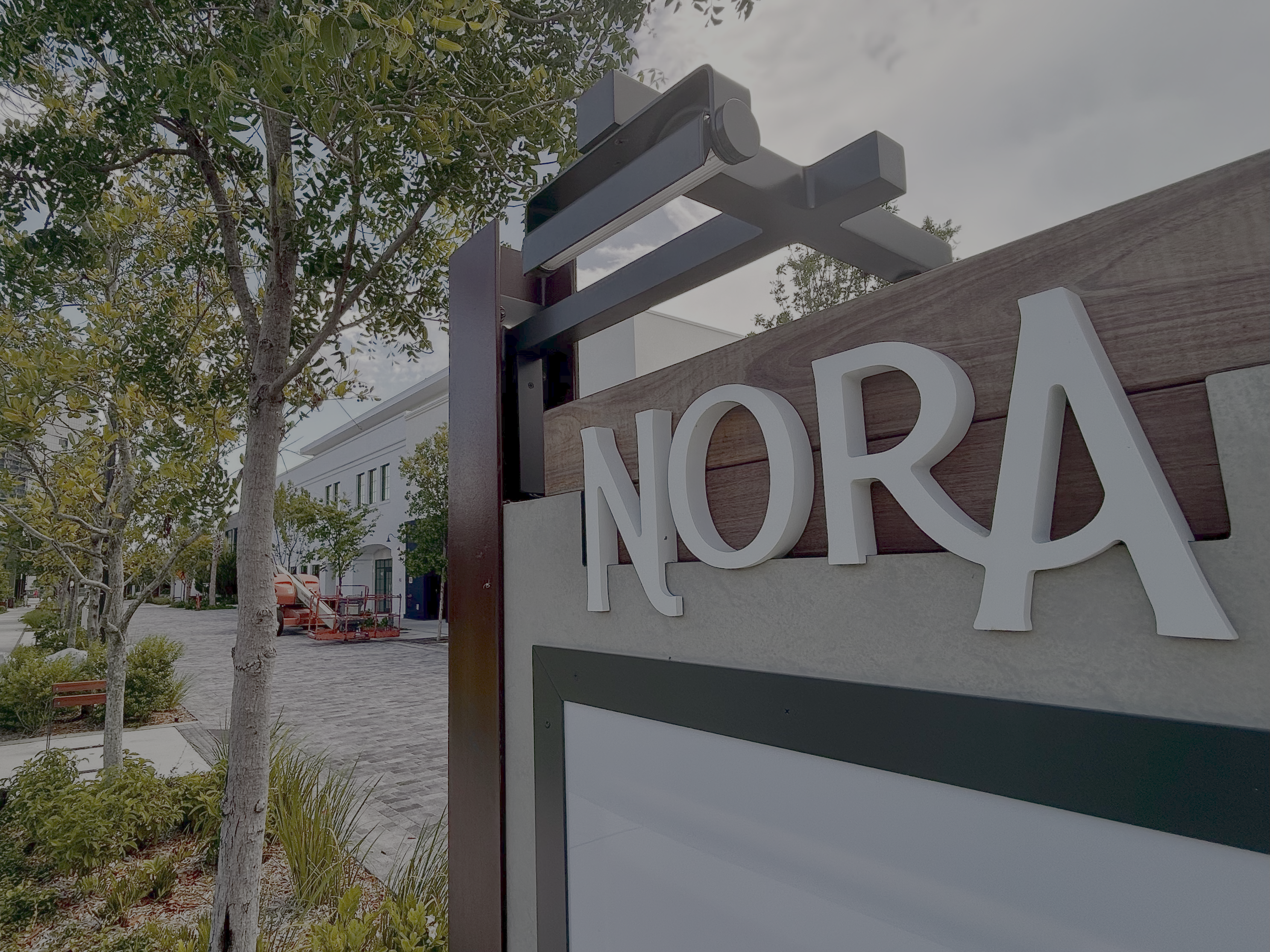 Nora thumbnail.png