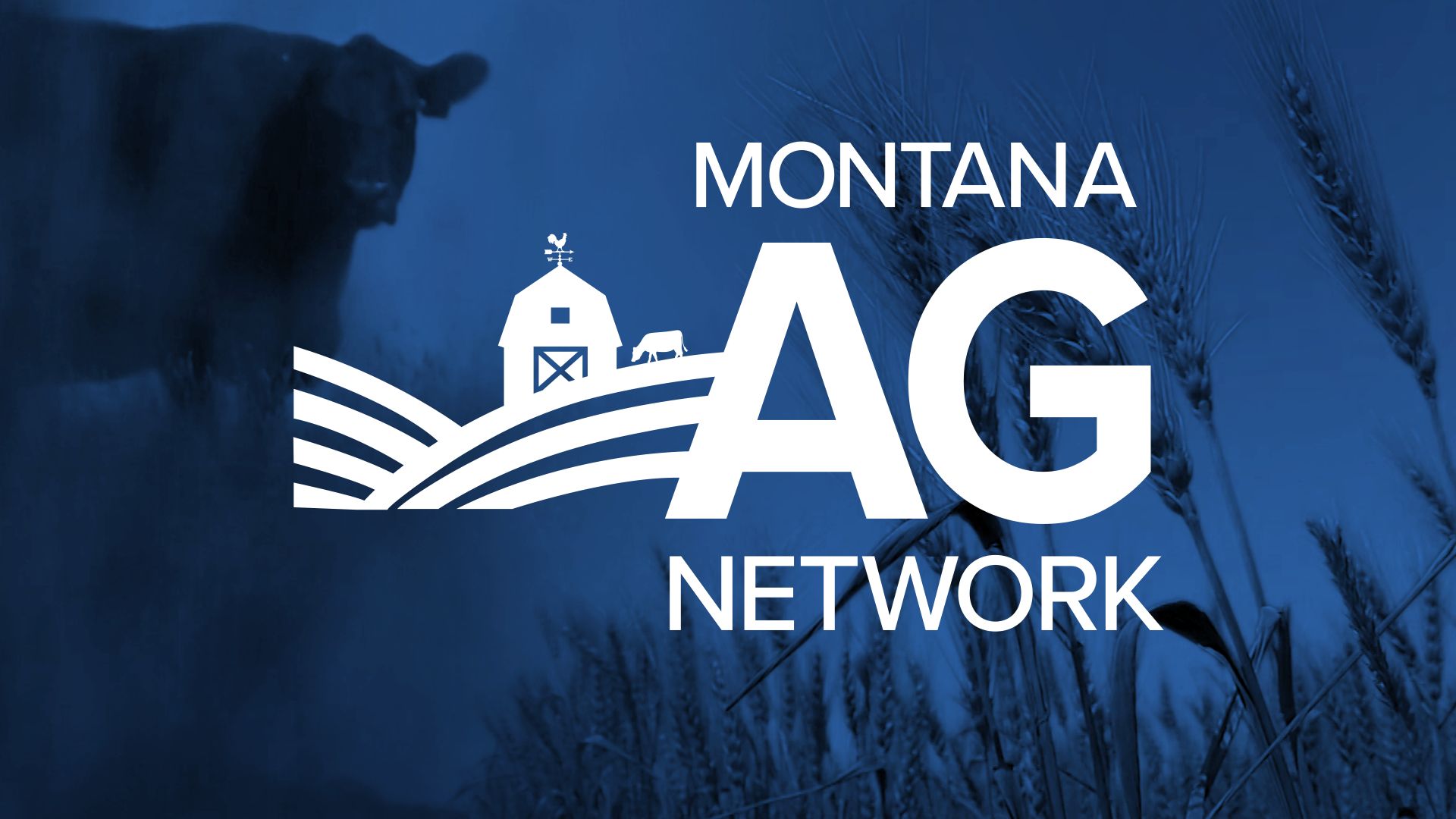 montana ag network logo