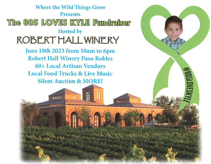 the 805 loves kyle fundraiser.png