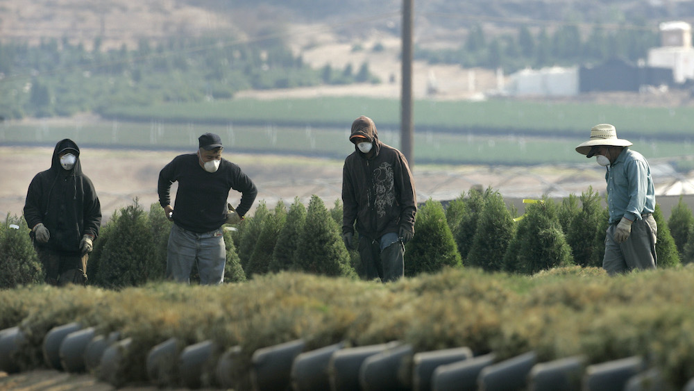 California Wildfires Agriculture farms