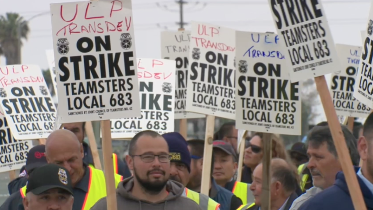 MTS bus drivers on strike