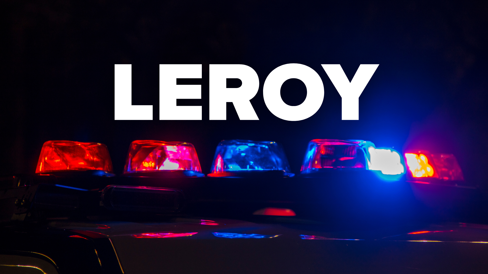 LEROY.png