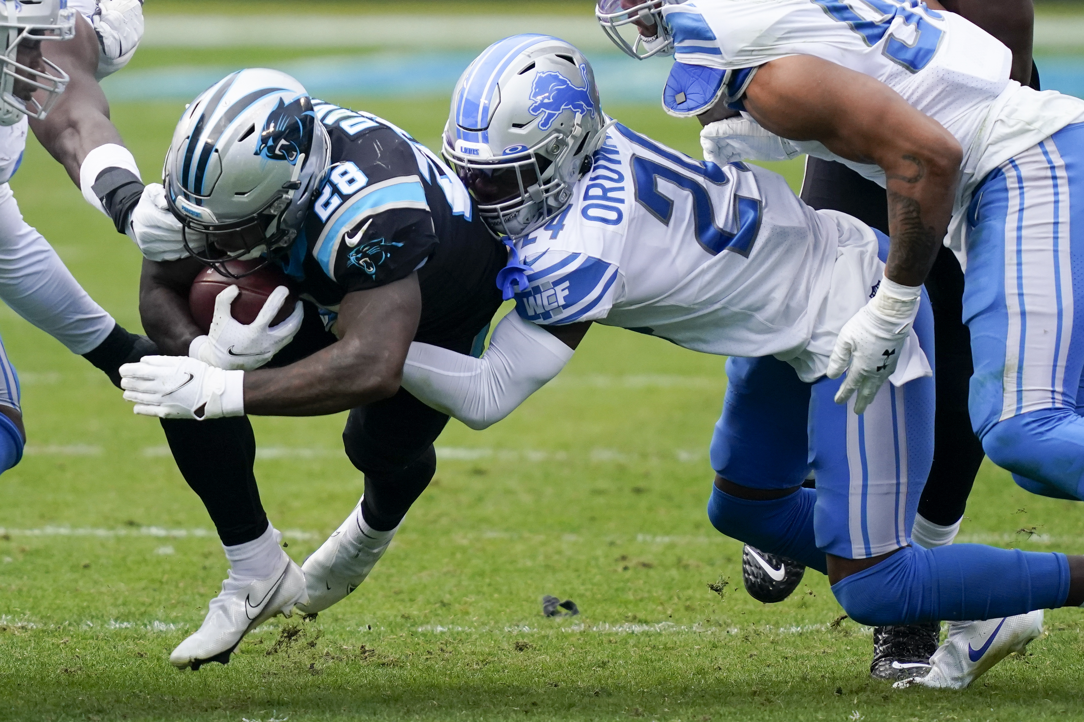 Lions Panthers Football