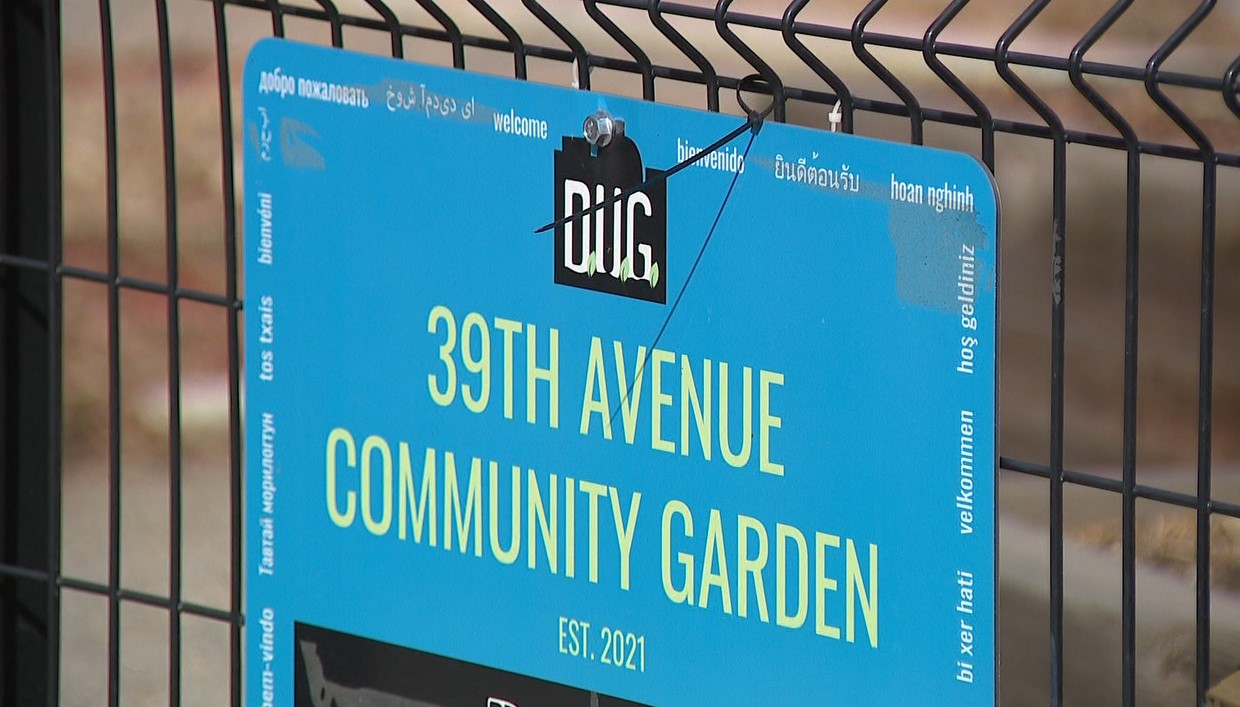 Denver Urban Garden