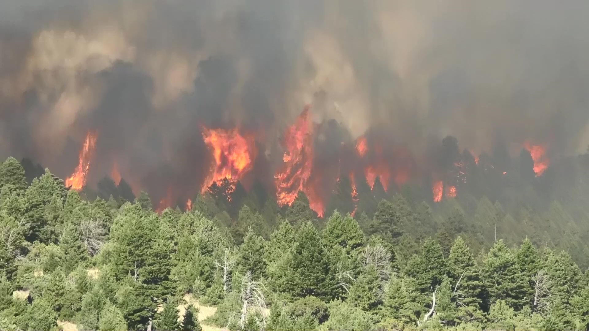 Bridger Foothills Fire