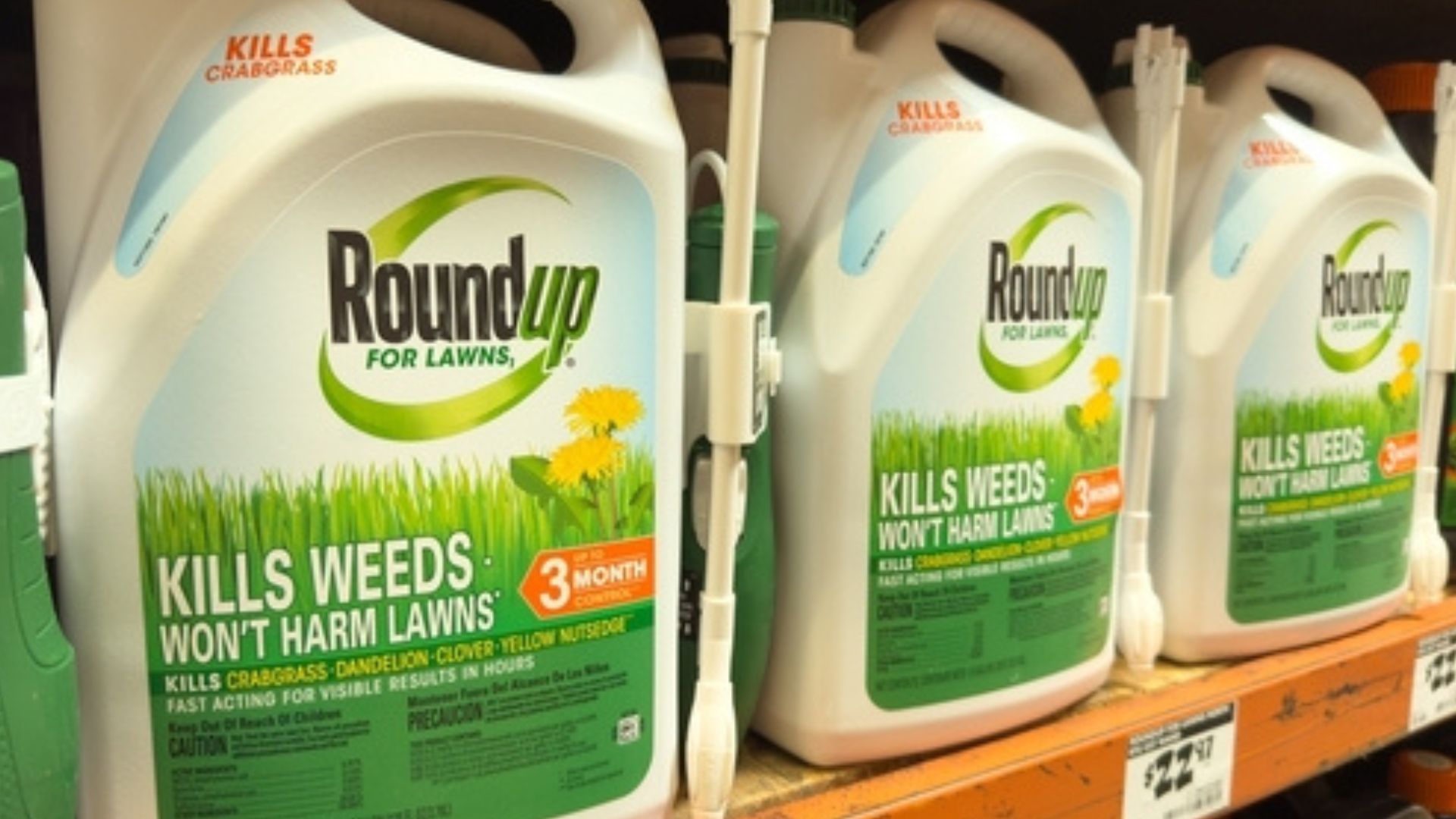 Stock image shows bottles of Roundup weedkiller.