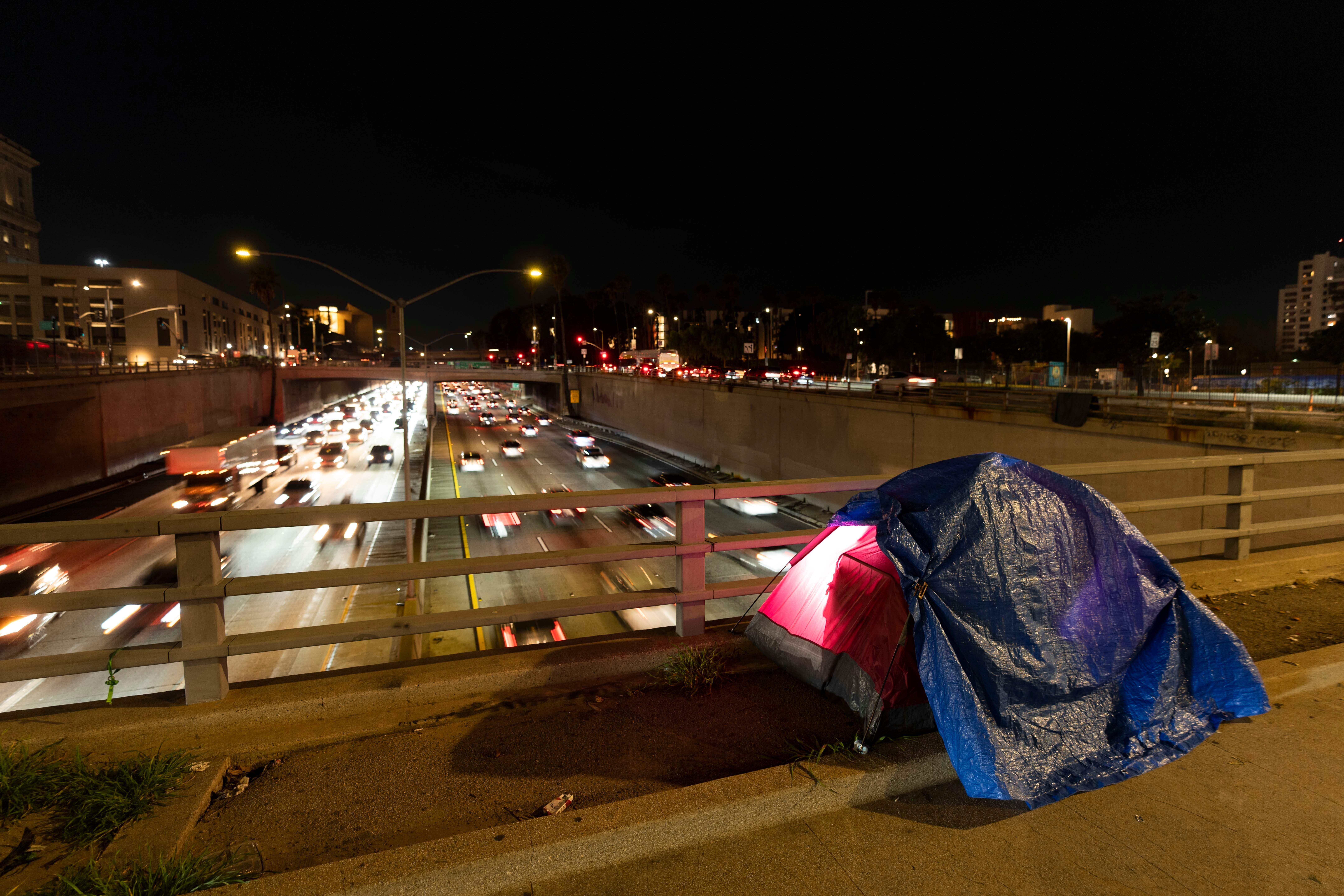 Los Angeles Homeless Fraud