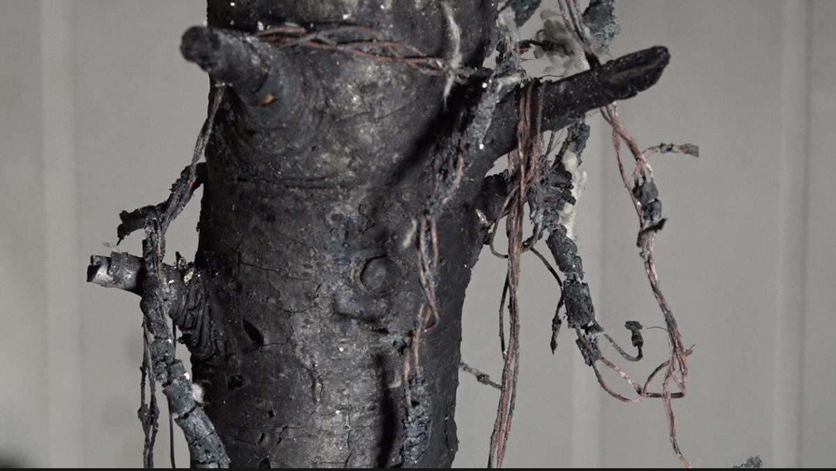 Christmas tree lights blamed for Vista house fire