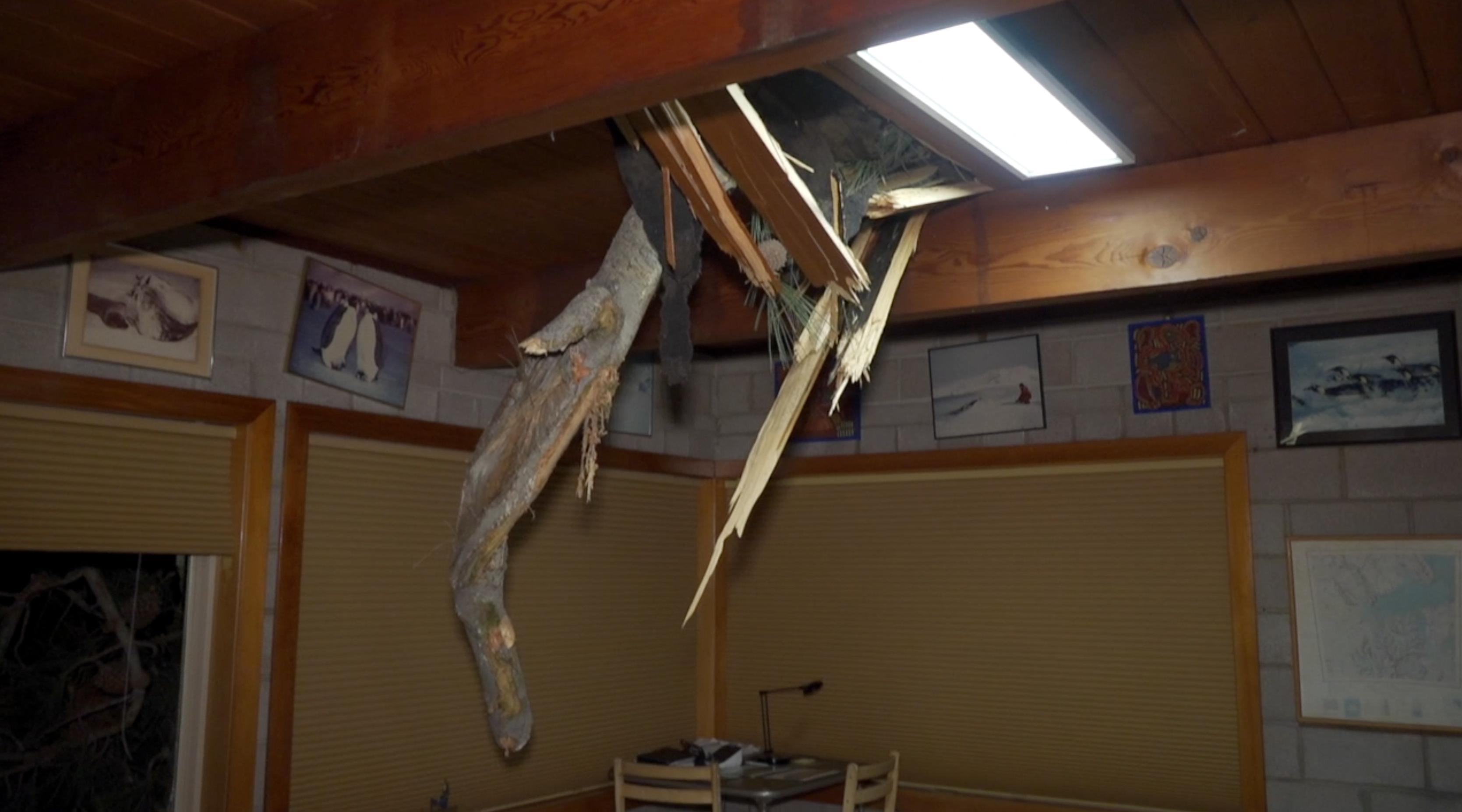 Tree falls through roof of Del Mar home